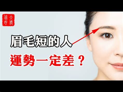 眉毛短男 蟄居 意思